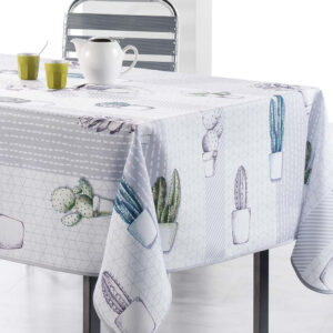 Cactae Borddug 150x240