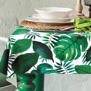 Java, voksdug med flotte grønne blade