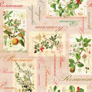 Rosalie, voksdug godkendt til kontakt med fødevarer 2